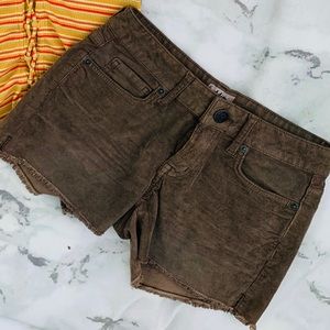 Brown velvet shorts.